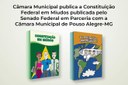 Constituição Federal em Miúdos