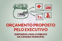 Orçamento Público proposto pelo Executivo